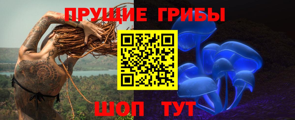 Нарткала  как найти   Вход с VPN  Псилоцибиновые грибы Magic Shrooms 