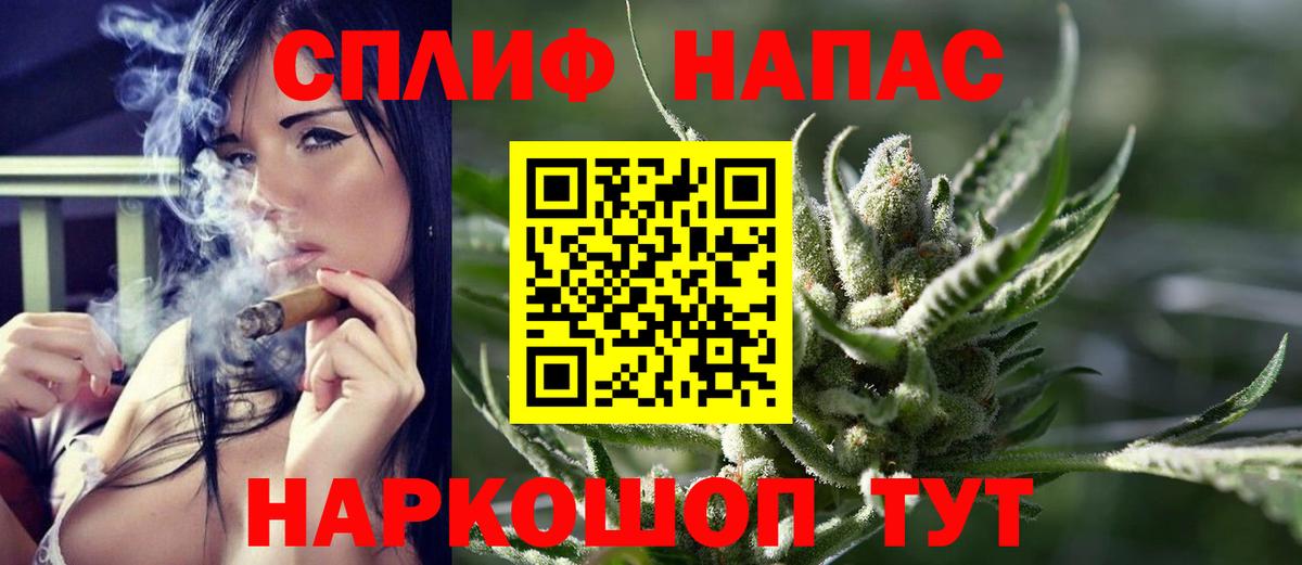 Конопля планчик Нарткала